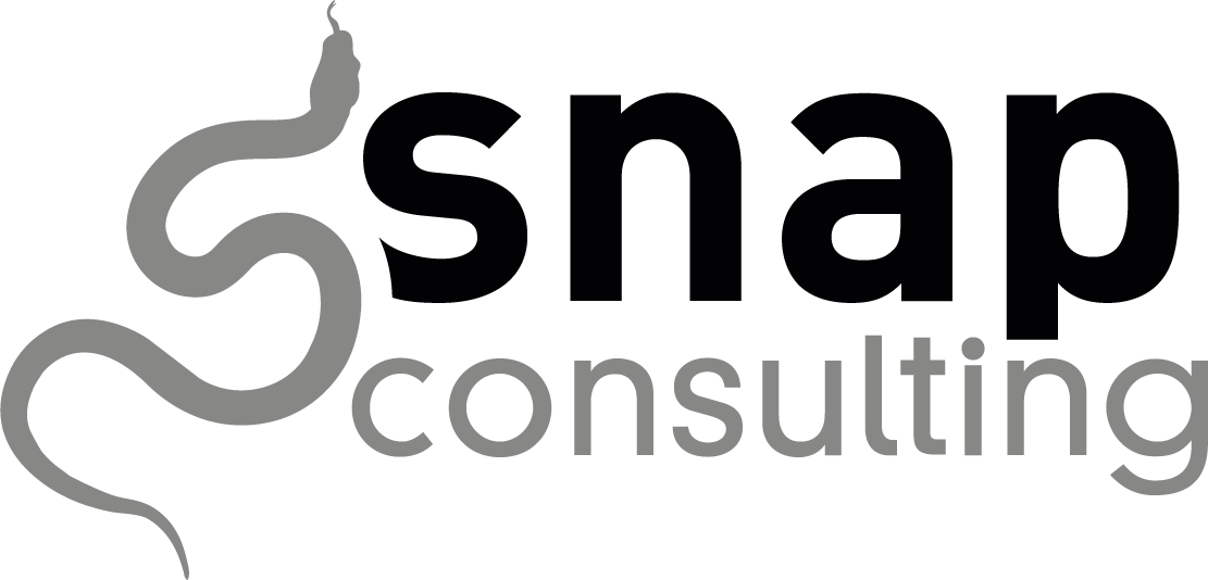SNAP Consulting Austria logo (Austria) — company profile in the Analytics Legends directory of SAP analytics service providers