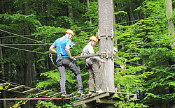 Snap - Consulting Mitarbeiter im Kletterpark 