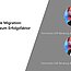 Webinargrafik zum Thema Custom Code Migration mit Armin Gross und Philip Stagl