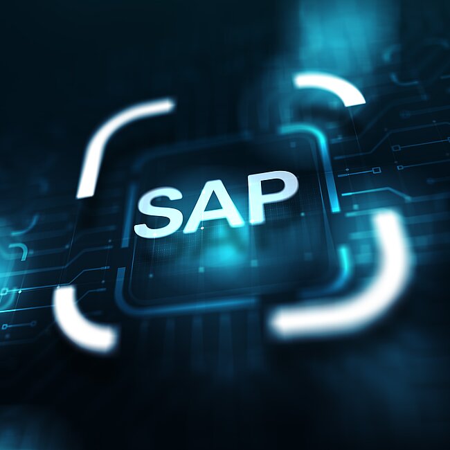 Eine Nahaufnahme von einem Netzwerk, man sieht einen großen SAP Schriftzug.